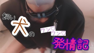 I did handjob with a masturbation video sent to me by a fan♡