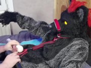 Preview 2 of Murrsuit wolf on the bed get teased and cum with 2 magic wands