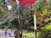 Preview 4 of Beautiful Japanese woman exposes her boobs and buttocks in a beautiful valley of autumn leaves.