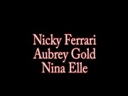 Preview 1 of Nina Elle, Nicky Ferrari and Aubrey Have A Dildo Party!
