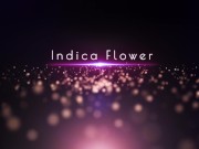 Preview 1 of Indica Flower fucks Laz Fyre in SEX TWERKER