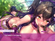 Preview 3 of [Hentai Game NinNinDays Play video 13]