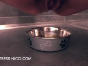 Preview 1 of Slave feeding! Pissing in my slaves bowl for breakfast!