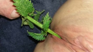 Speculum Spread Submissive Female - BDSM Cigarette & Nettles Torture to her gaping urethra & pussy