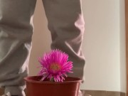 Preview 2 of Piss on the flower