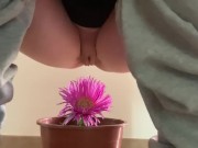 Preview 4 of Piss on the flower
