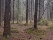 Preview 4 of Forest running led to orgasm🤙🏻💧💦