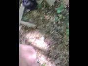 Preview 5 of nude hiking and sucking a big cock