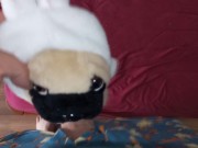 Preview 3 of Dog dressed as a bunny Fun#3