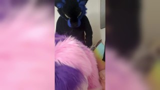 [Cheshire Cosplay part.3]  Cowgirl creampie in Cheshire cat maid cosplay