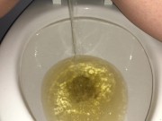 Preview 1 of Every Piss I Took Today