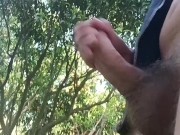Preview 1 of Rock hard Big juicy cock with quick cum outside