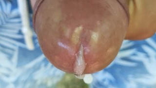 Close up cumming out of glans
