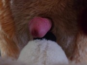 Preview 1 of POV fursuit muzzle fuck and cumshot