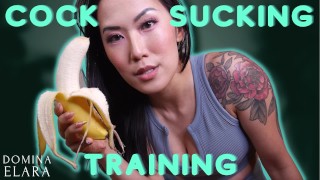 Cock Sucking Training 101