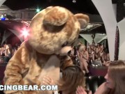 Preview 1 of DANCING BEAR - Look At These Bitches Having The Time Of They Lives, Sucking Cock Like There's No Tom