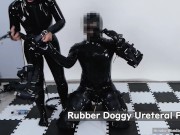 Preview 3 of Rubber Doggy Ureteral Play