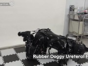 Preview 6 of Rubber Doggy Ureteral Play