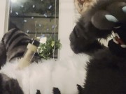 Preview 6 of Fursuiter cums using Venus 2000 milking machine