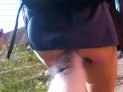 Preview 5 of Public Bike Ride with Fox-tail Butt Plug, Lovense Lush and Sunshine in my ass. No pants dance off.