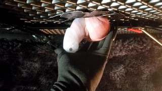 Mistress milks cock in spiked cage. Femdom. Femboy. Submissive male