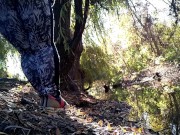 Preview 2 of BBW in leggings pissing by the lake in a public park