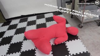 Sexy Latex Bondage Doll Gets Tied Up & Her Pussy Fucked Hard by Bad Dragon's Mystic Unicorn Horn