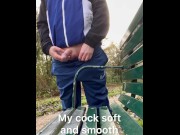 Preview 6 of Showing my cock and ass off to a guy wanking in the bushes and fucking humself with a dildo