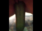 Preview 4 of I insert a cucumber in my pussy