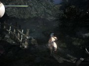 Preview 5 of NIOH 2 NUDE EDITION COCK CAM GAMEPLAY #1