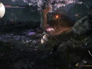 Preview 6 of NIOH 2 NUDE EDITION COCK CAM GAMEPLAY #1