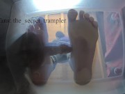 Preview 5 of Cock and balls puncaked under glass (preview, full video on Onlyfans) cock trampling