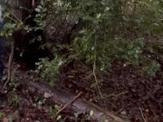 Preview 1 of Woodland wank on a rainy afternoon. Big cock masturbated to cumshot outdoors- dogging public wanking