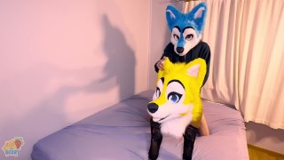 Furry mating ends with HUGE cumshot!!