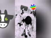 Preview 2 of The slut dresses up as a cow and invites me to fuck and milk her