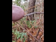 Preview 3 of piss in nature. with a tree in my dick