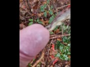 Preview 4 of piss in nature. with a tree in my dick