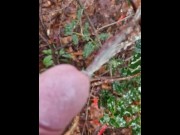 Preview 5 of piss in nature. with a tree in my dick
