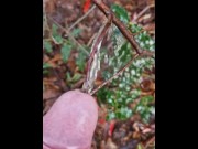 Preview 6 of piss in nature. with a tree in my dick