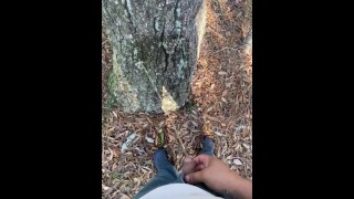 Pissing on and off a tree! Gone right !