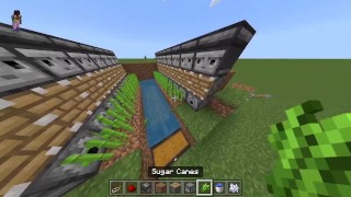 How To Build An Automatic Sugar Cane Farm