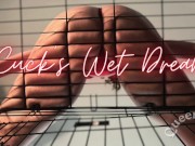 Preview 2 of Cuck's Wet Dream (Trailer, Audio Only)