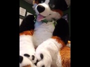 Preview 2 of Cute murrsuiter teases you with his paws