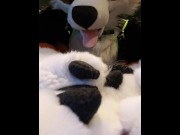 Preview 3 of Cute murrsuiter teases you with his paws
