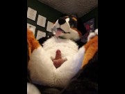 Preview 6 of Cute murrsuiter teases you with his paws