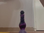 Preview 6 of Easily Sliding Over the Knot on my Monster Dildo and Stretching my Hairy Pussy