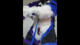 Johnny Huskey - Paw off and cum :3