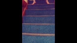 Small pee down the stairs