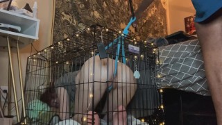 Caged, gagged bunny girl gets cuffed and strap on fucked!!