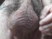 Preview 4 of My hairy balls from below